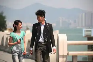 搜集一起来看流星雨的剧照喽