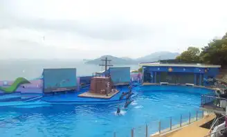 随手拍五一海洋公园越矿飞车香港游记攻略