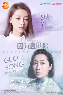因为遇见你曝遇见版海报
