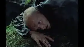 苏联1985年反战电影自己去看经典蒙太奇剪辑片段,超级震撼