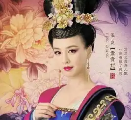 二十张武媚娘传奇剧照
