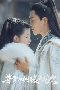 雨高清在线观看