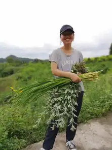 闻香识女人岁月静好,静待花开张丽萍的世外桃源