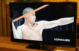 为蜗居量体裁衣小户型平板电视大推荐