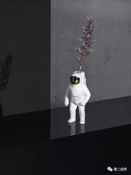 宇宙餐盘用一套餐具开启你的星际穿越
