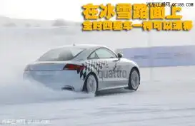 温度30冰雪试驾奥迪quattro全系车
