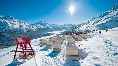 在爱的迫降里,发现唯美瑞士
