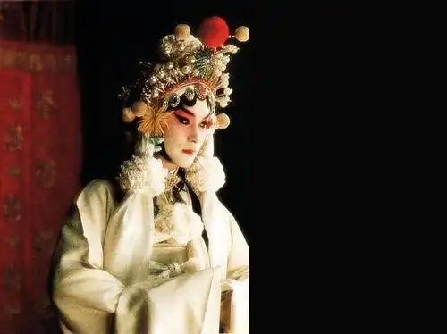 如果用全息投影技术将这些明星复活,你中意哪一位呢
