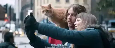 流浪猫鲍勃治愈系吸猫片可劲放心吸