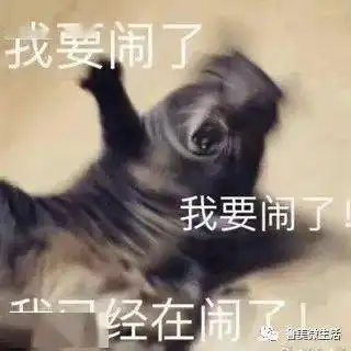 lafaers大学生活初体验之一周打卡