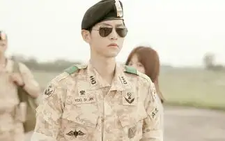 韩国欧巴为何不爱太阳的后裔军旅描写太浮夸
