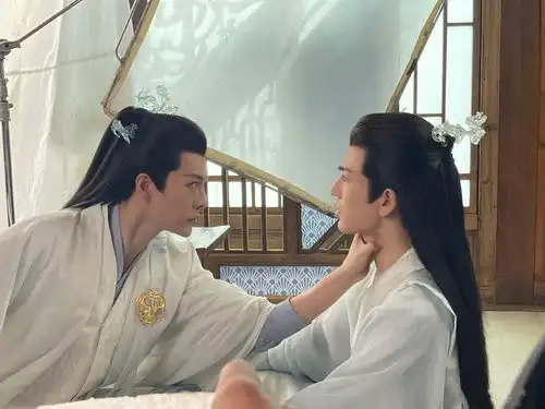 给95花做配,给87花客串,38岁的他如何一步步被观众淡忘
