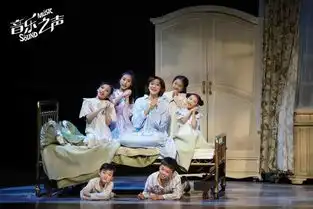 深圳站音乐之声放牛班的春天中文版儿童演员招募启动
