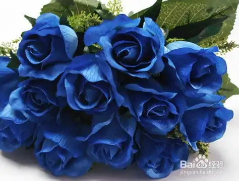 第一次过情人节送男友什么礼物
