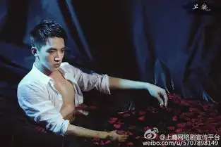 上瘾剧照海因cp组图源水印白洛因堆糖,美好生活研究所
