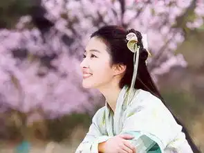 女星最经典荧幕形象孙俪刘诗诗大s曾美得夺目