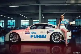 久违的泷泽萝拉与改装车激情重燃
