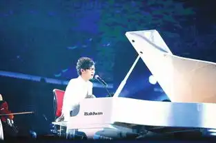 中国达人秀无臂钢琴师成达人王
