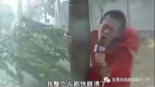 台风红色预警正生效,关注的不止是停课,更要告诉孩子