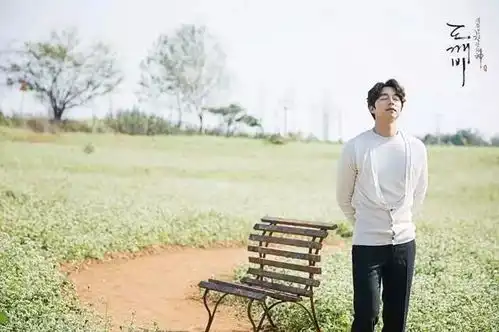 陕北坡上的荞麦花海
