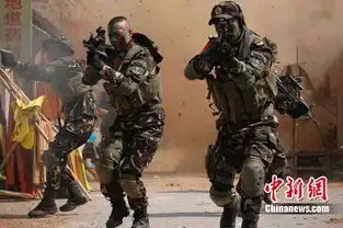 我是特种兵手足兄弟厮杀打破央视大戏常规
