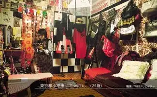实拍日本东京80后的蜗居族创意小屋图片
