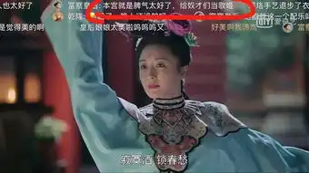看延禧攻略千万不要开弹幕