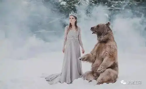 养一头600多斤的棕熊当宠物,上演现实版的美女与野兽