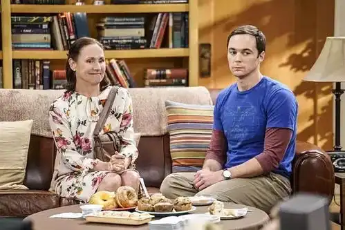 少年谢尔顿天才熊孩子成长记
