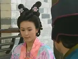 唐宁2009年盛世仁杰
