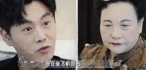 张智霖和袁咏仪私下零交流中年夫妻,早就各玩各的
