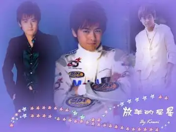 谁看过放羊的星星
