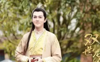 双世宠妃2男配颜值个个秒杀邢昭林,被陈宥维帅到猝不及防
