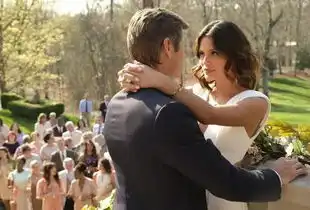 电视评论协会夏季媒体见面会(cw)