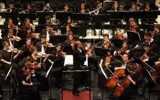 亲子互动音乐会的正确打开方式,一般人我不告诉他
