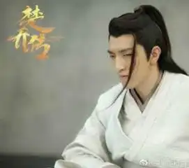 楚乔传赵西风是好人还是坏人楚乔传赵西风扮演者是谁