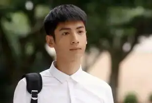 明星故事罗云熙演绎时尚中国风
