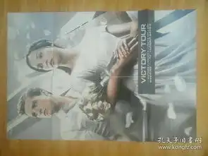 环球银幕海报饥饿游戏2星火燎原詹妮弗,背面威士肖大海报