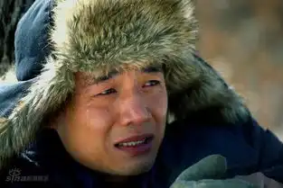 北风那个吹剧照