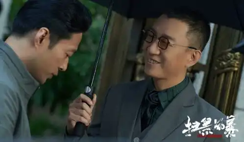 扫黑风暴坏人结局,丧心病狂,终究害了自己