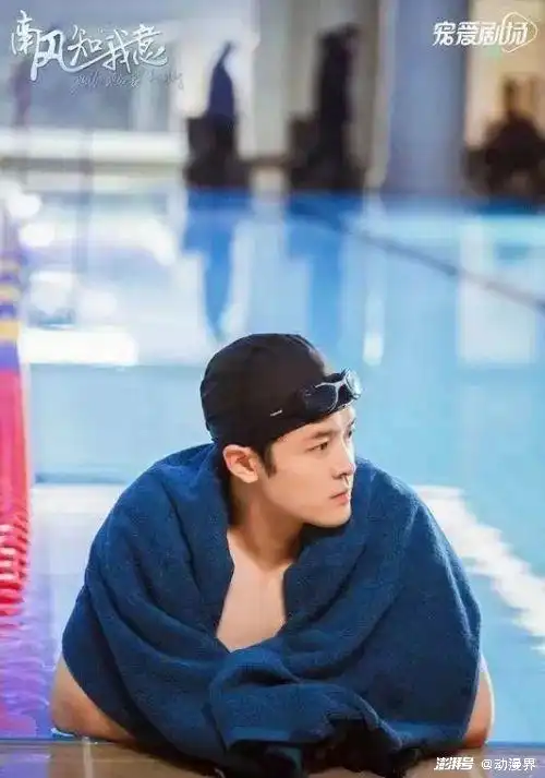 剧集南风知我意成毅与张予曦精彩演绎爱与挣扎
