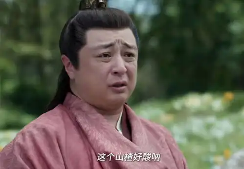 庆余年2袁先生背叛,林若甫发现范闲杀林珙,用林大宝报复范闲
