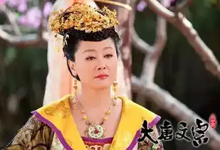 历代武则天范冰冰最美刘晓庆最出名演的最好却是她
