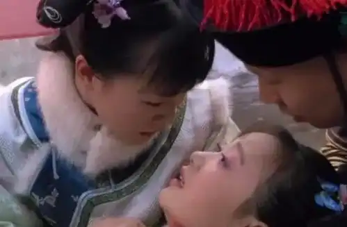 甄嬛传,流朱的忠诚,只因为眼里有甄嬛