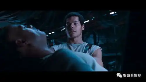 黑客帝国译制资料整理