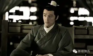 每天四五部剧破1,芈月传带起的冬季收视高潮背后有何秘密