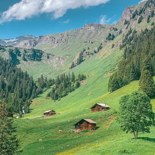 情一动心就痛,而我却不能忘记你