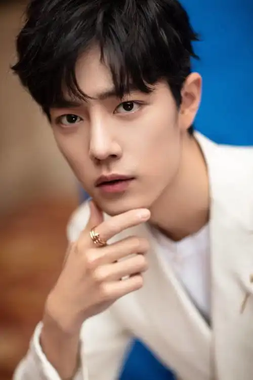 肖战准备复工3部新剧仍在待播中
