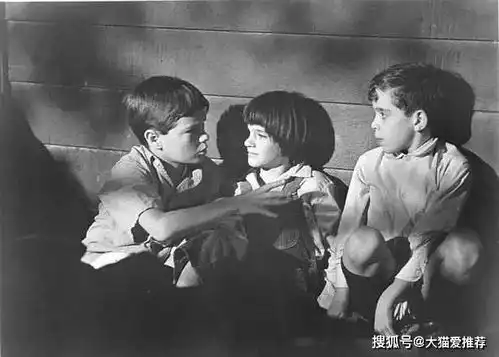 杀死一只知更鸟,后悔没有在更早的时候读过它