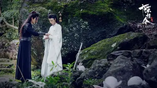 陈情令忘羡同人云深不知处遇光2